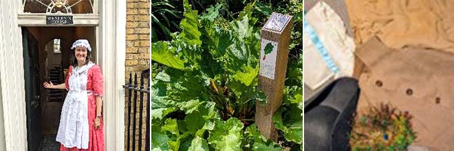 Home, Health and Hazards in Georgian London